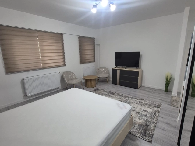 Apartament 1 camere - Frumoasa