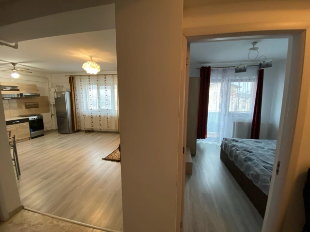 Apartament 2 camere - Lunca Cetatuii