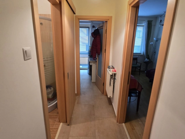 Apartament 1 camere - CUG